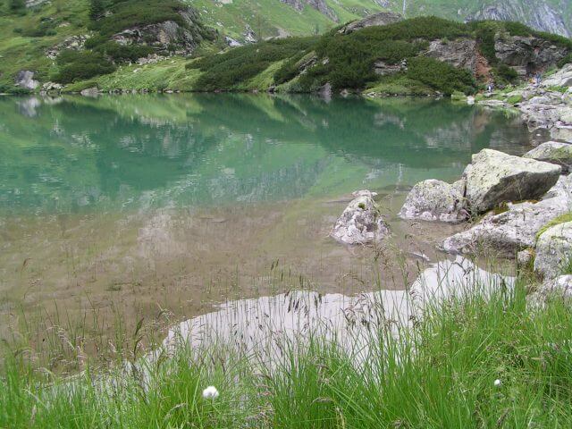 2002-2004 Zoobenthos-Untersuchungen von Salzburger Bergseen