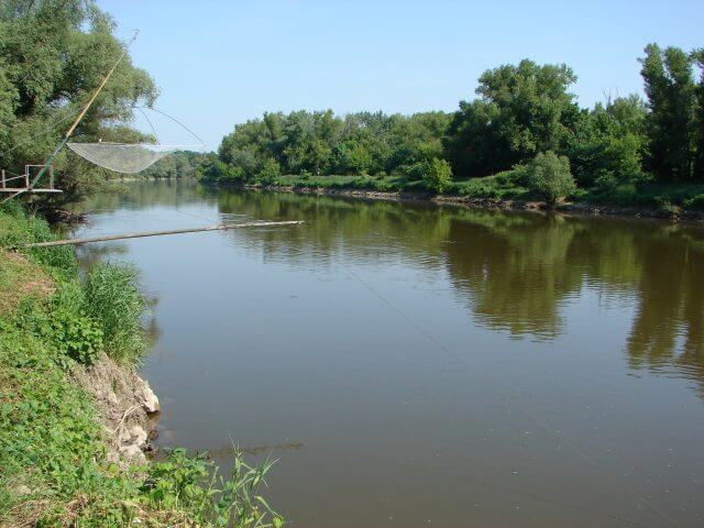 2011-2016 Monitoring der Auswirkungen von Bti auf Chironomiden in den March-Thaya-Auen