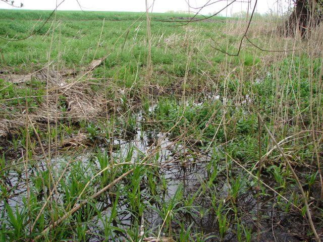 2011-2014 EIA expert report Weinviertel highway, A5 Nord B