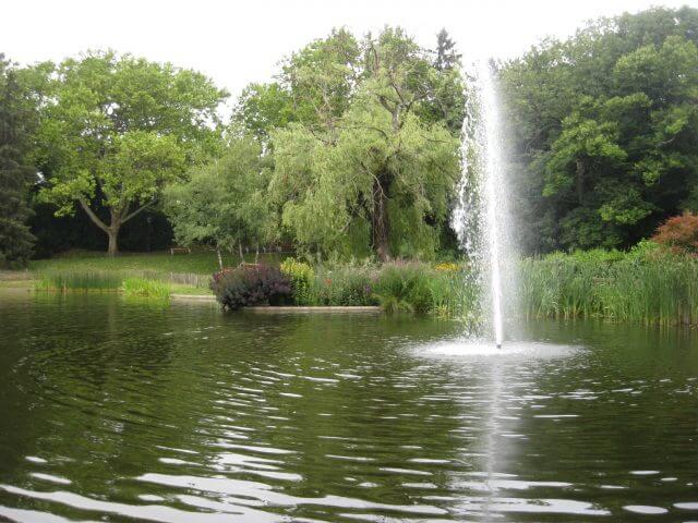 2015 Elaboration of a revitalisation concept for park ponds in Vienna