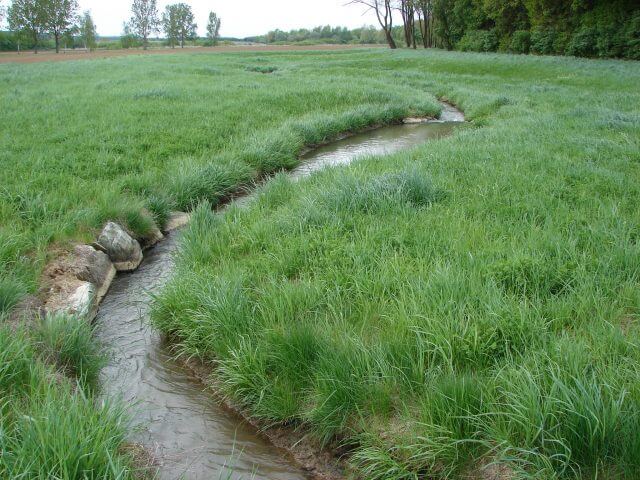 2016 Ecological consulting for the construction of a fish pass at the river Pinka