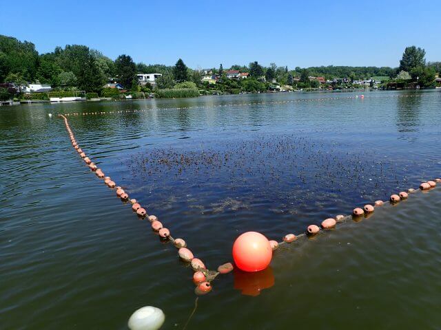 since 2010 Rehabilitation measures at Pöttschinger See