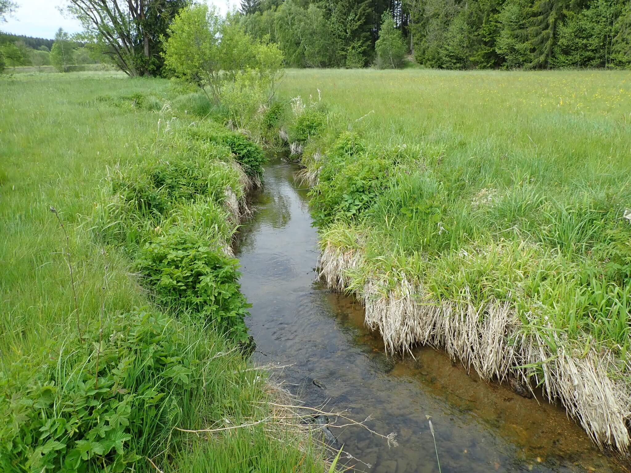 Ecological assessment of water abstraction from small watercourses