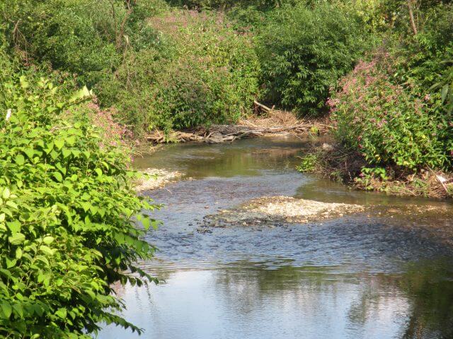 2000–2002 EU Research Project AQEM